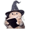 Cat Reading Spellbook