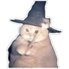 Cat Casting a Spell
