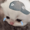 Gatito con lágrimas y gorro