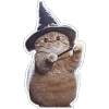 Cat with Wizard Hat